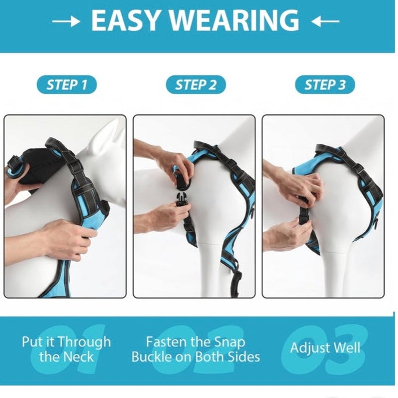 BRAND NEW ~ Blue Reflective Adjustable Padded Dog Harness Handle & Leash ~ LARGE
