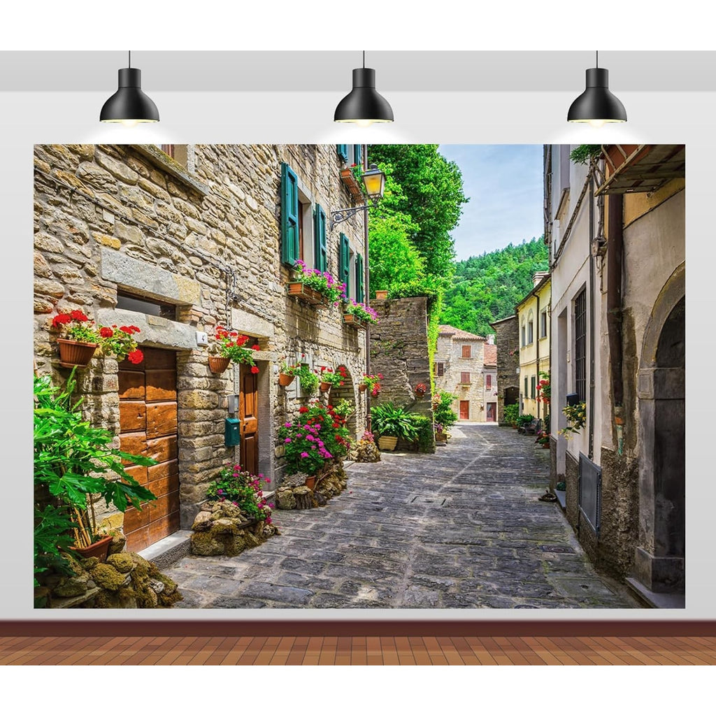 BRAND NEW ~ European Buildings Italian Street Photography Backdrop ~ 59" x 39"