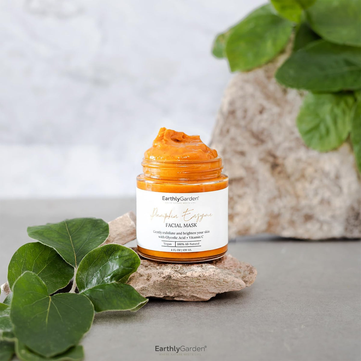 NWT ~ Pumpkin Enzyme Exfoliating Face Mask Natural Facial Treatment
