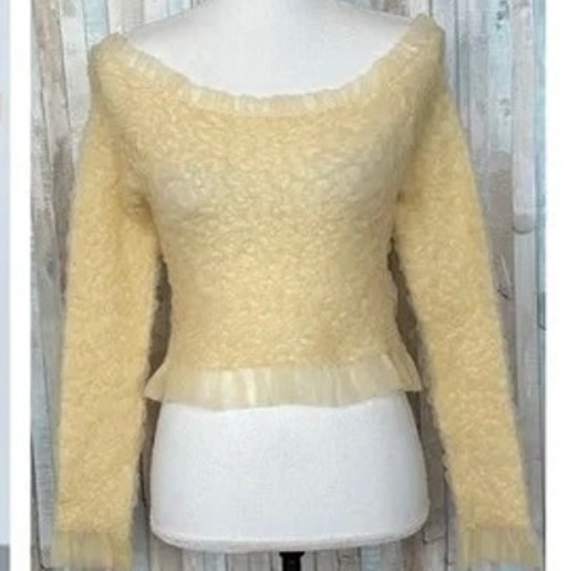 NWT ~ ZARA Beige Lace Tulle Off Shoulders Tight Crop Knit Top ~ Women's SMALL