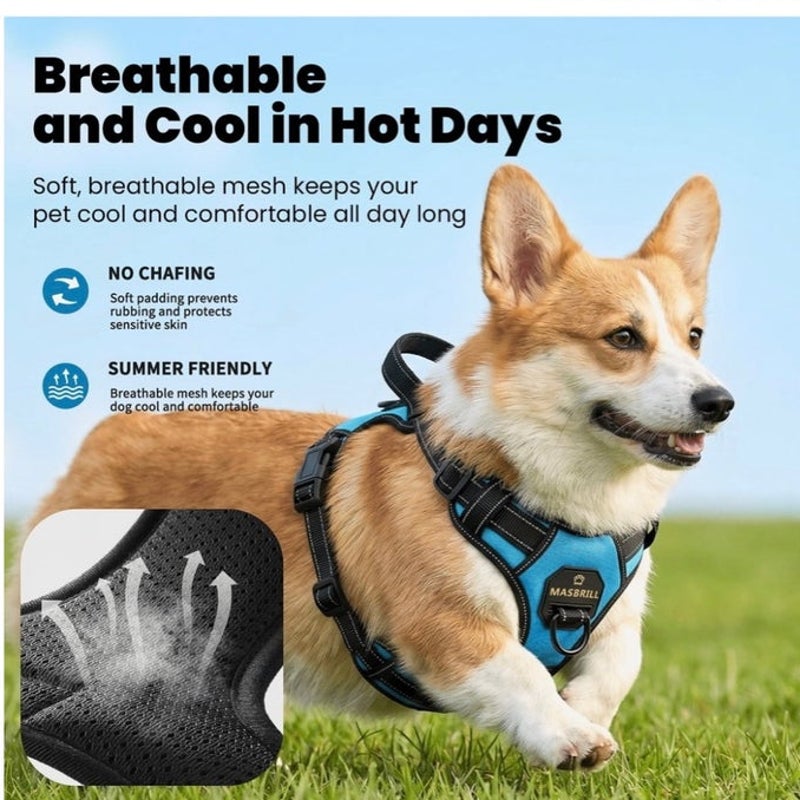 BRAND NEW ~ Blue Reflective Adjustable Padded Dog Harness Handle & Leash ~ LARGE