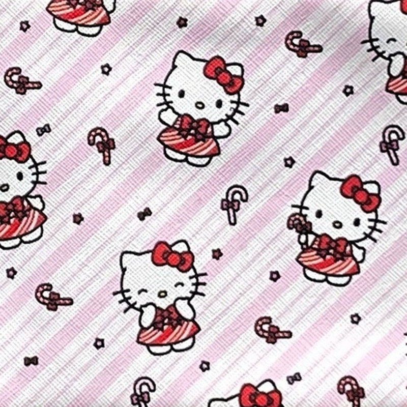 NWT ~ HELLO KITTY Zipper Clutch Pencil Case
