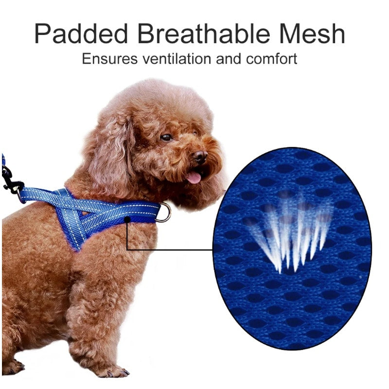 BRAND NEW ~ Large Size Blue Breathable Mesh Padded Adjustable Dog Pet Harness