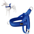BRAND NEW ~ Large Size Blue Breathable Mesh Padded Adjustable Dog Pet Harness