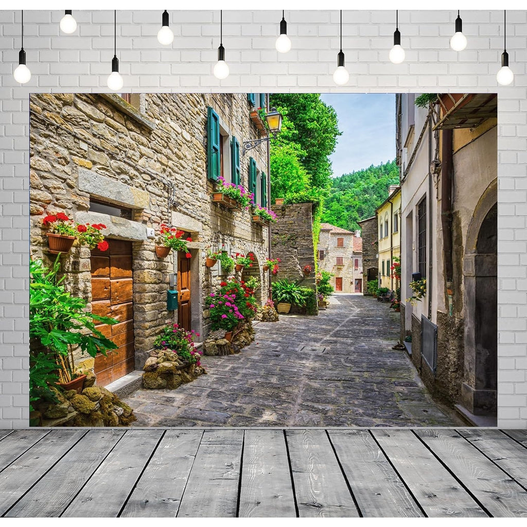 BRAND NEW ~ European Buildings Italian Street Photography Backdrop ~ 59" x 39"