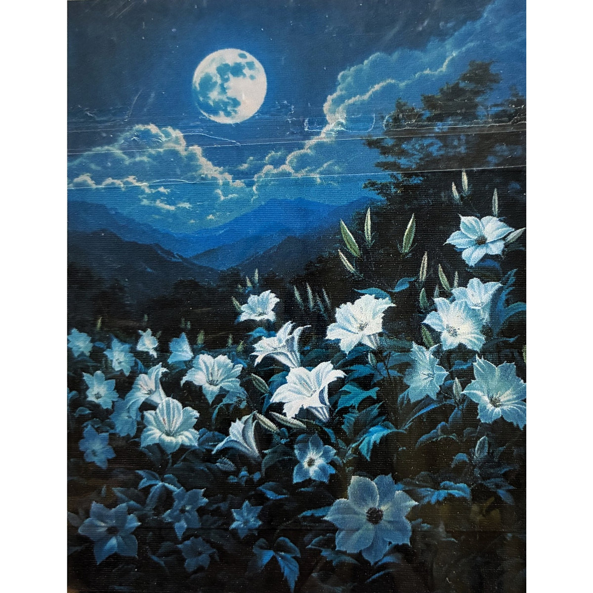 BRAND NEW ~ Set/2 Canvas DIY Paint By Numbers Kits ~ Beach & Night Moon 18"x22"