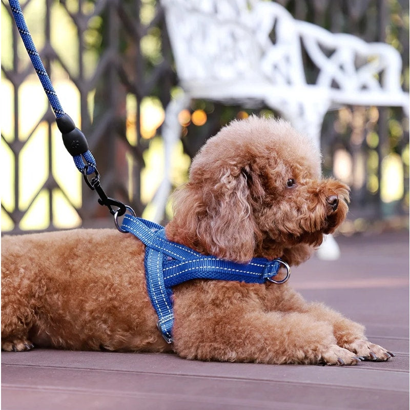 BRAND NEW ~ Large Size Blue Breathable Mesh Padded Adjustable Dog Pet Harness