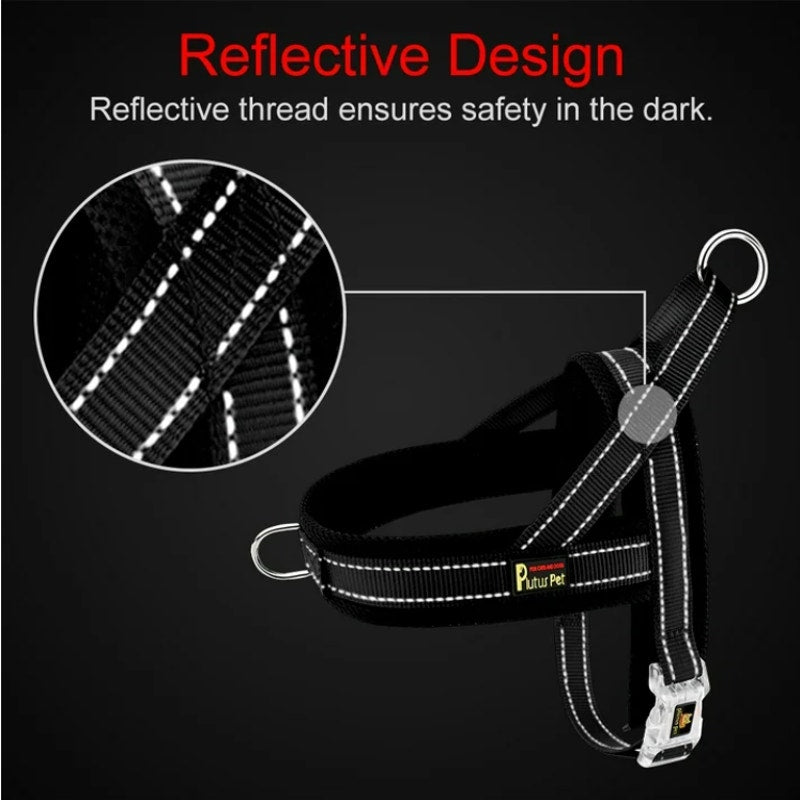 BRAND NEW ~ Large Size Blue Breathable Mesh Padded Adjustable Dog Pet Harness