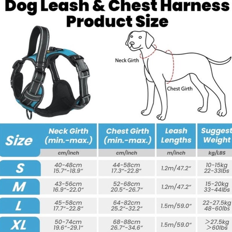 BRAND NEW ~ Blue Reflective Adjustable Padded Dog Harness Handle & Leash ~ LARGE