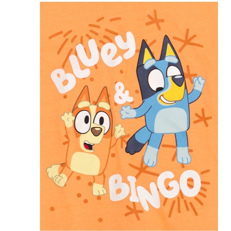 NWT ~ Bluey & Bingo Hooded T-Shirt & Fleece Jogger Pants Outfit Set ~ Toddler 4T